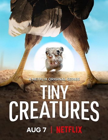 Крошечные существа 1 сезон (2020) смотреть онлайн